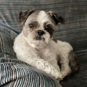 Meet your Posher, Brenda